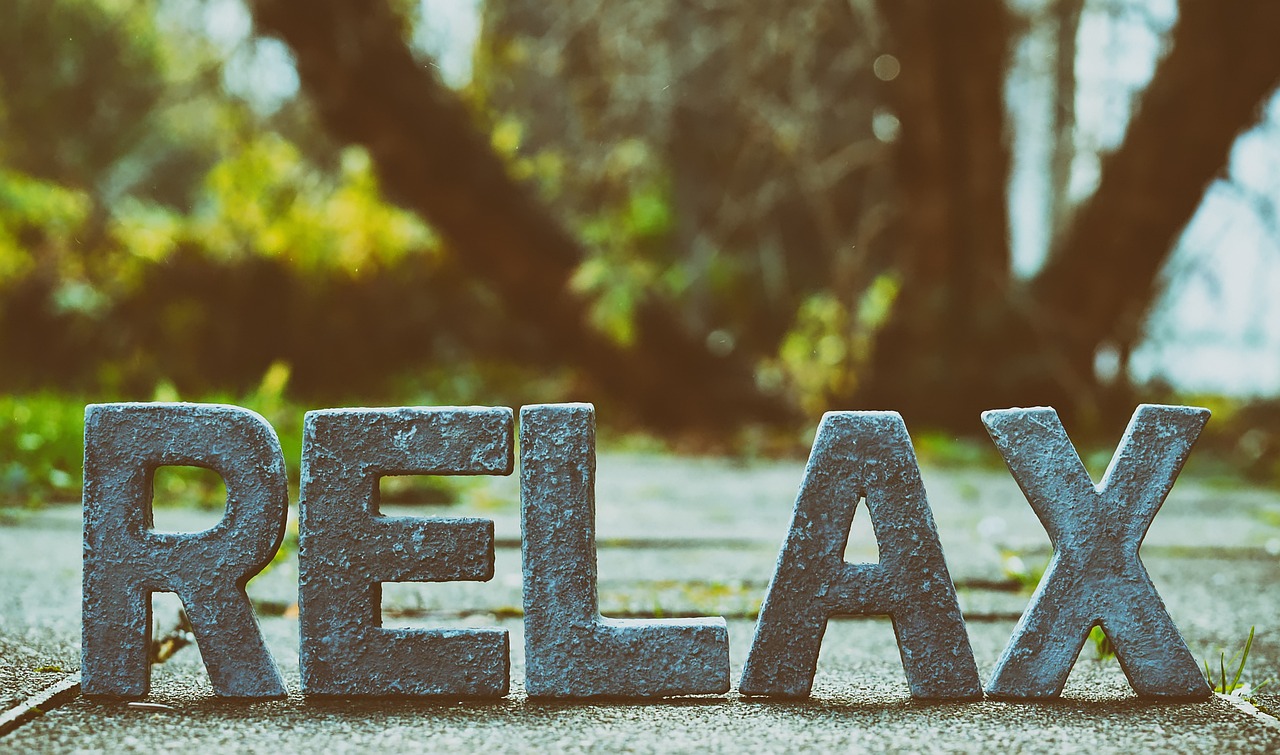 10 Ways to Connect with Nature in Your Daily Routine